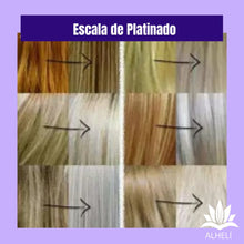 Cargar imagen en el visor de la galería, Kit Platinador