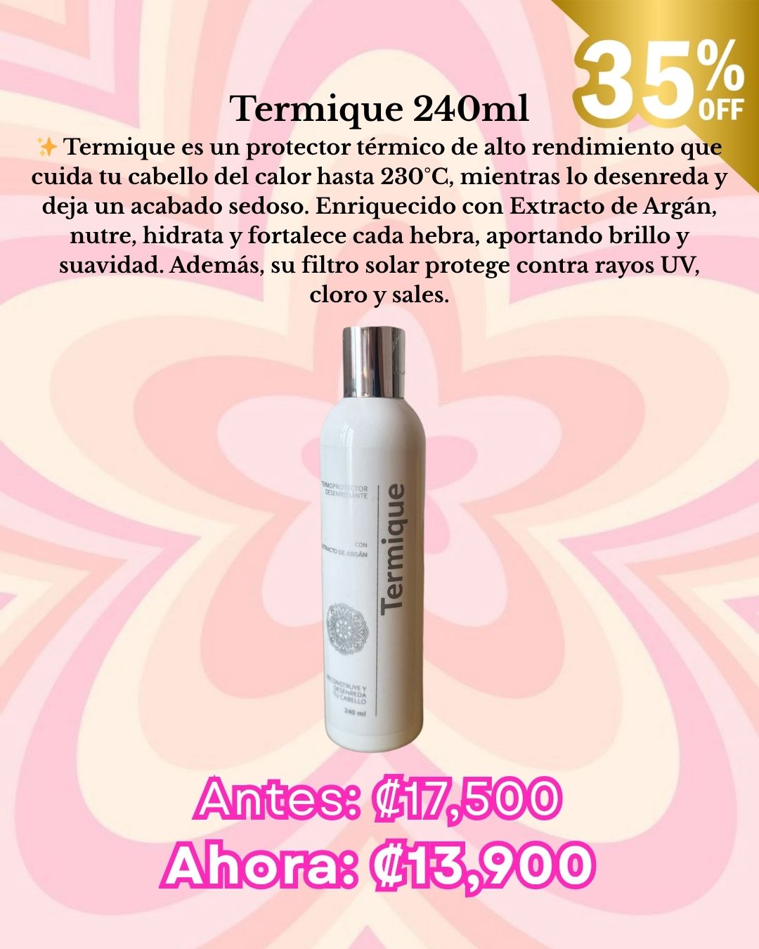 Termique 240 ml
