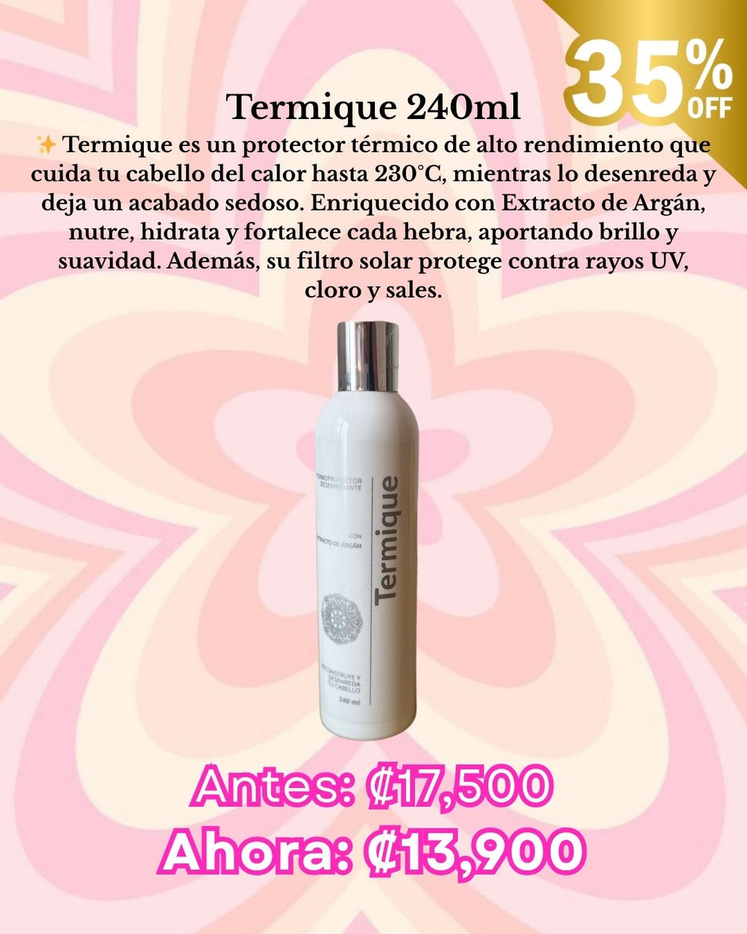 Termique 240 ml